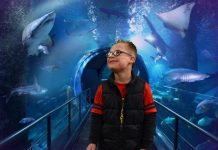 Young Williams finds his voice