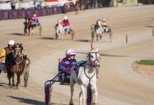 Venue for family fun