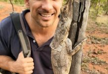 A wild ride for young viewers