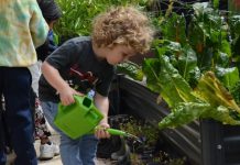 Growing green thumbs