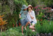 Sweet pea and mint pesto pasta