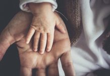 Make friends with your ‘wild creature mind’