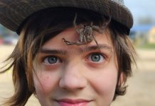 ‘Yes’ is the default at Global Village